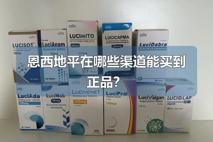 恩西地平在哪些渠道能买到正品?