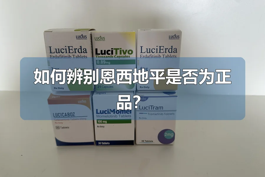 如何辨别恩西地平是否为正品?